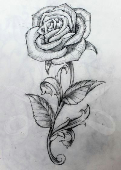 gallery for rose stem drawing