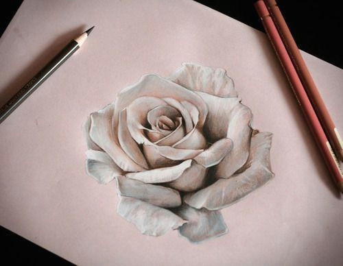 how to draw a realistic rose in pencil