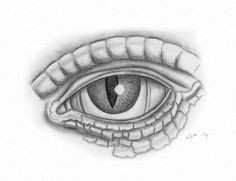 lizard s eye by saviourmachine lizard eye eye study my eyes reptiles bing