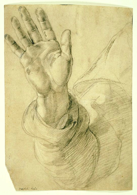 raffaello sanzio called raphael italian 1483 1520 upraised right hand with palm facing outward study for saint peter