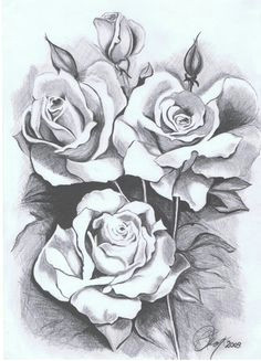 flowers c love drawings drawing sketches rose tattoos figure drawing zentangles