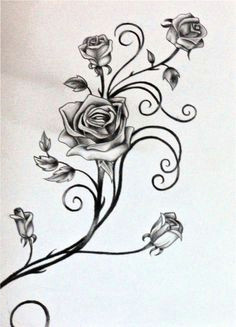 drawings of vines and leaves roses and the vine by rosilutfi flower vine tattoos