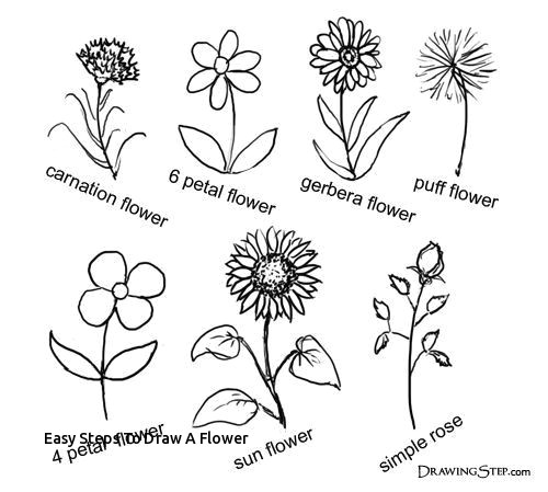 easy steps to draw a flower pin by alecia on doodles pinterest of easy steps to