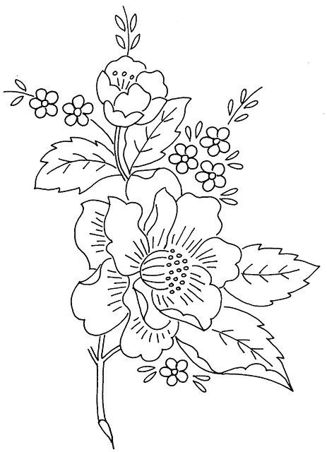 colour it sew it trace it etc flower spray 1 flickr photo sharing