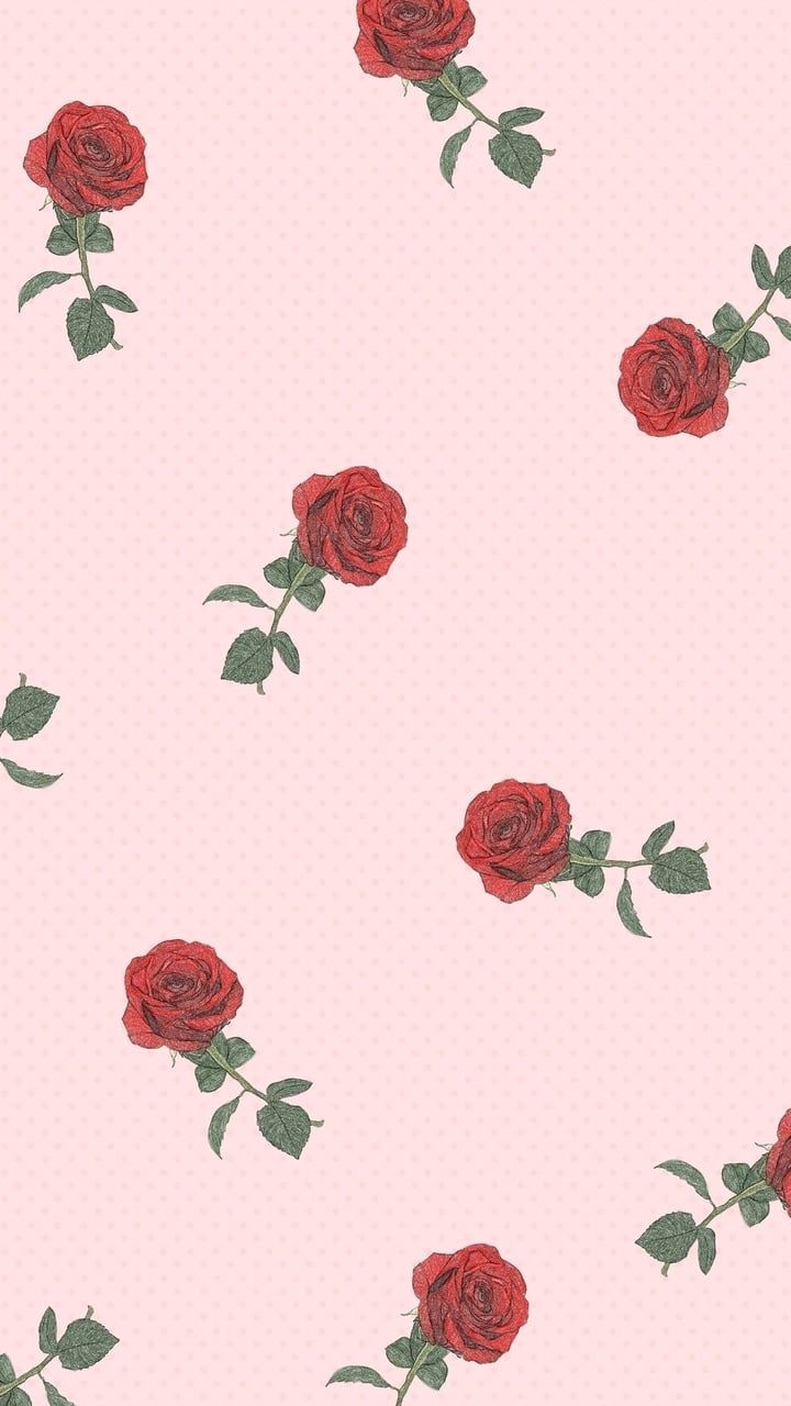 cute backgrounds cute wallpapers wallpaper backgrounds iphone wallpaper rose wallpaper screen