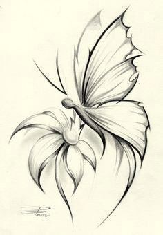 butterflies on flower skectches butterfly flower by davepinsker on deviantart butterfly sketch simple
