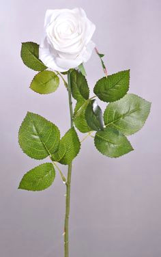 elegant open rose stem choose from 15 colors rose stem open rose stems