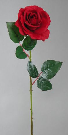 color fast open rose stem choose from 4 colors