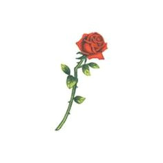 rose long stem large size temporary tattoo sexy