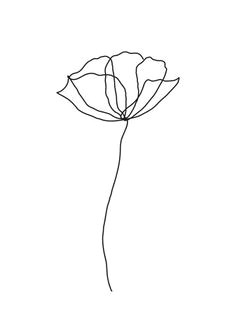image result for single line flower 3d drawings doodle drawings tattoo drawings flower