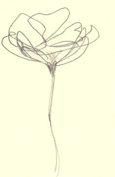 best 25 flower line drawings ideas on pinterest flower sketches line drawings of flowers and doodles of flowers