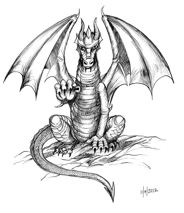 sketches of dragons angry dragon