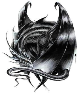 sleeping black dragon recreation lifestyle pinterest dragon black dragon and dragon art