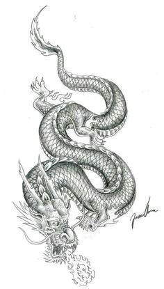 dragon tatoo dragon tattoo colour dragon tattoo sketch small dragon tattoos dragon