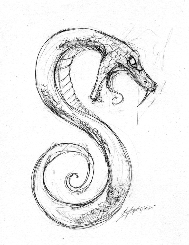 resultado de imagen para drawing snake sketch snake drawing eye sketch snake art