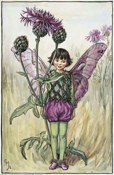 greater knapweed flower fairy vintage print cicely mary barker printed the greater knapweed fairy is one of cicely barkers summer flower fairies
