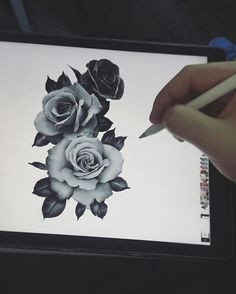 draw disegno sketch roses tattooo tatuaggio tre rose three