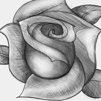 how to sketch a rose step by step sketch drawing technique free online drawing tutorial added by dawn april 16 2012 3 05 28 pm