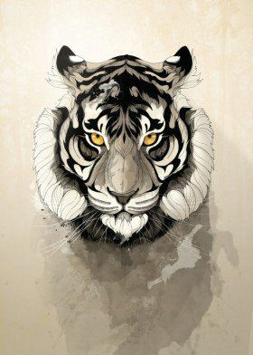 tiger wild nature animal animals free