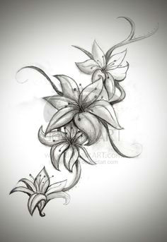 tiger lilly tattoo lilly flower tattoo lilly tattoo design lilly flower drawing