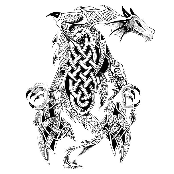an amazing man tattoo sketch of a dragon with celtic knots style tribal color black tags amazing