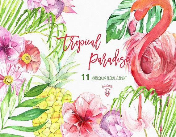 tropical clip art tropical floral clipart flamingo clipart