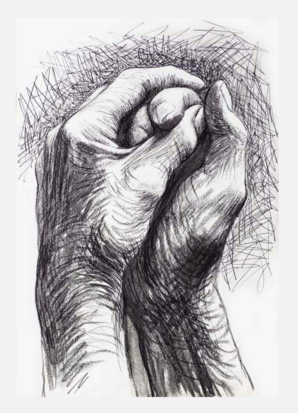 cave to canvas alecshao henry moore the artist s hands 1974 two hand clasped together tonal sketch flowing exciting marks