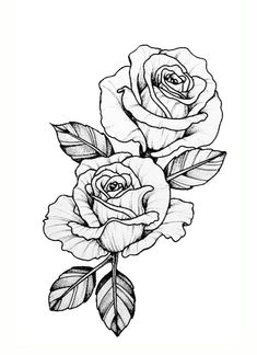 amanda rose fowler i love you flowers drawn rose flowers rose sketch flower