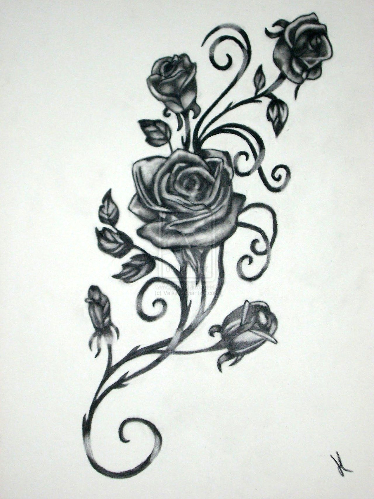 roses with vines drawing rose vine drawing black rose vine tattoos possible tattoo template