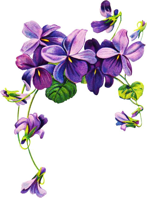 16 best violet flower tattoos images violet flower tattoos violet tattoo ink