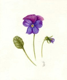 violet tattoo designs google search