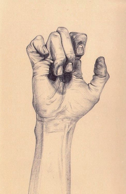 by henrietta harris hand drawings drawings of hands drawing hands figure drawings