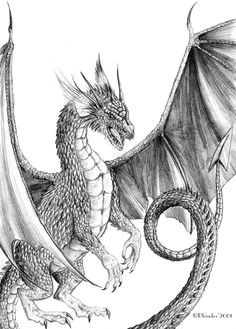 photo dragon drawings drawings of dragons dragon sketch tattoo drawings dragon artwork