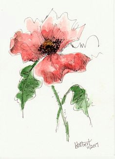 original watercolor poppy flower art hand painted red poppy flower art pen and ink