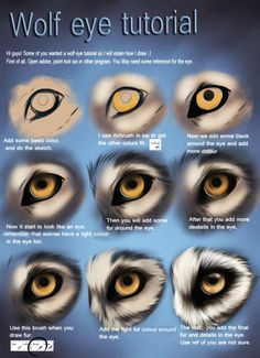 wolf eye tutorial by themysticwolf on deviantart wolf face drawing wolf face paint