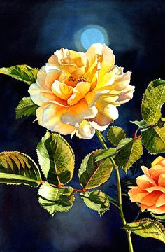 watercolor paintings by jane freeman here s an example of the expert use of lighting