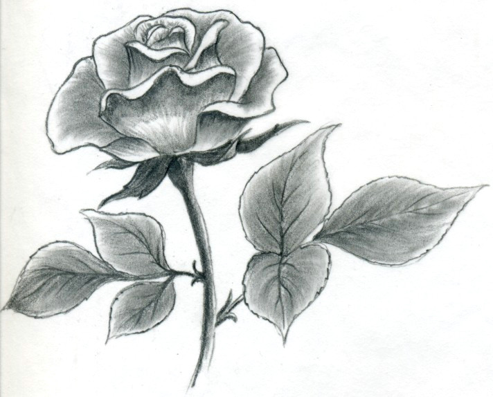 pencil drawing awesome drawings roses s s media cache ak0 pinimg originals 89 0d 6b