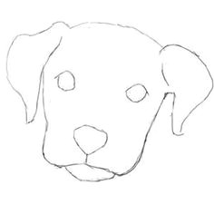 how to draw a dog face super easy yahoo search results yahoo image search results