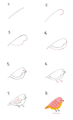how to draw a bird by anais lee doodle art bird doodle draw a