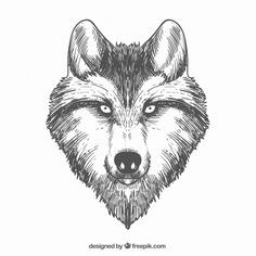 line art wolf wolves gray wolf