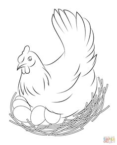 chicken coloring pages free coloring pages chicken coloring pages egg coloring page animal