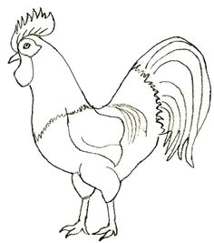 you will learn how to draw a rooster properly step by step and the techniques discussed here should help you with drawing any bird