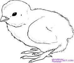 free chicken drawing how to draw a chick step by step farm animals animals free online