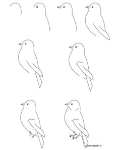 een leuke vogel hahah hij is wel makkelijk how to draw birds drawing birds easy