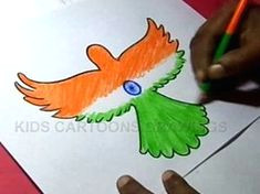 how to draw independence day parrot design step by step
