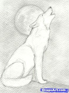 how to draw a howling wolf step 9
