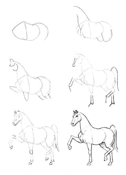 how to draw a horse