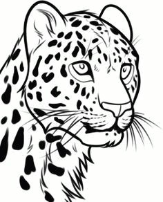 how to draw a leopard head step by step rainforest animals animals