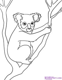 australian animals google search australian animals australian art drawing for kids line