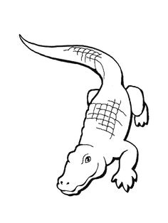rainforest reptiles coloring pages picture 5 snake coloring pages coloring pages to print coloring